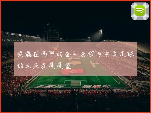 武磊在西甲的奋斗历程与中国足球的未来发展展望