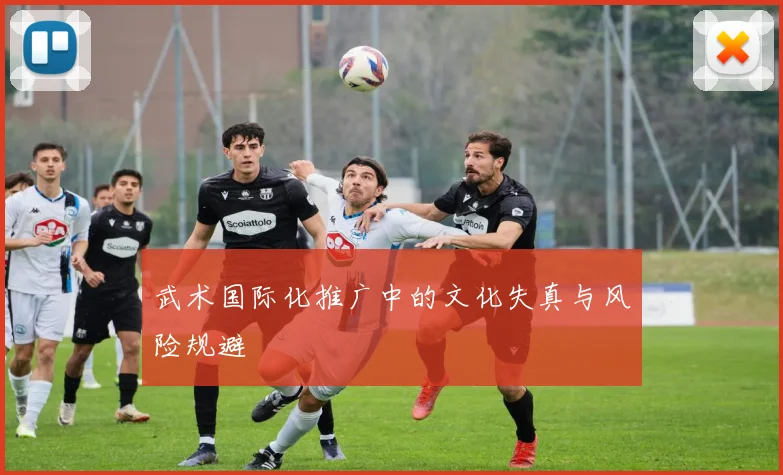武术国际化推广中的文化失真与风险规避
