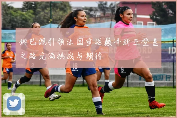 姆巴佩引领法国重返巅峰新王登基之路充满挑战与期待