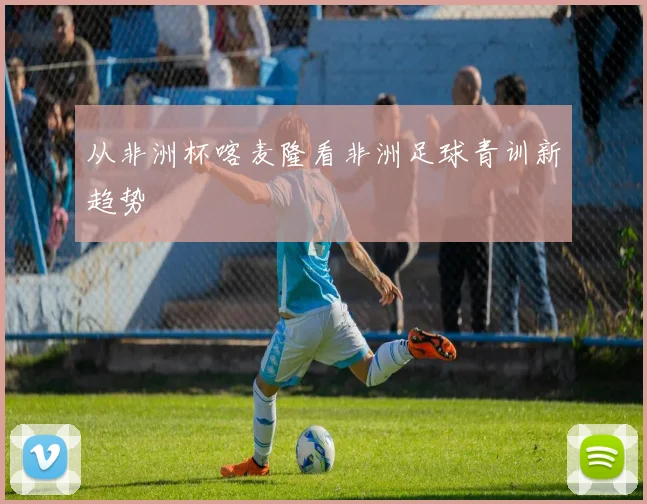 从非洲杯喀麦隆看非洲足球青训新趋势