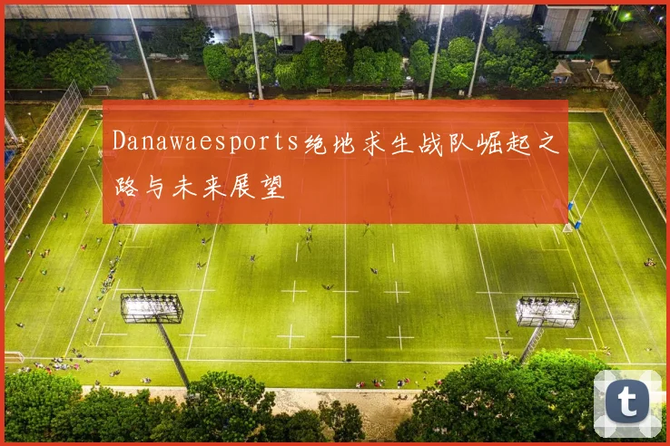 Danawaesports绝地求生战队崛起之路与未来展望