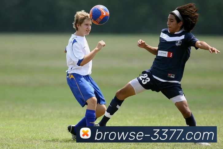 多媒体互动体验